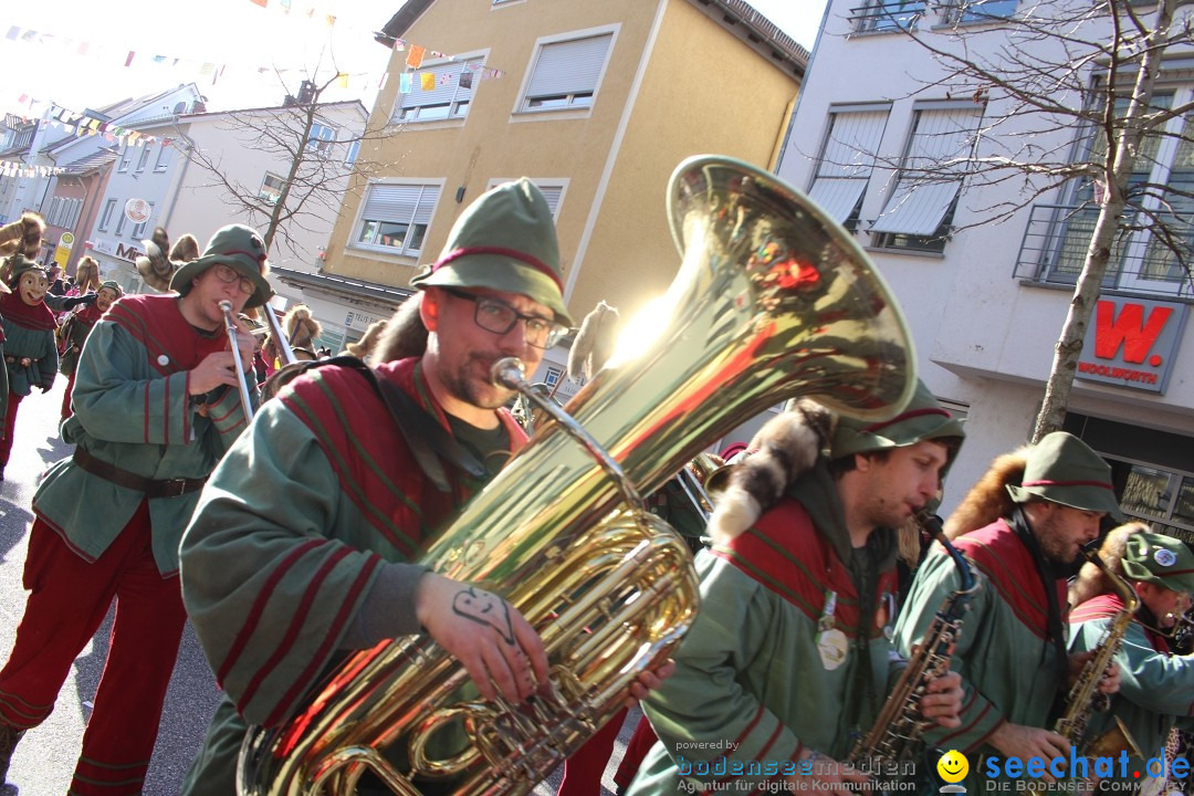 Fasnetsumzug: Tettnang am Bodensee, 13.02.2024