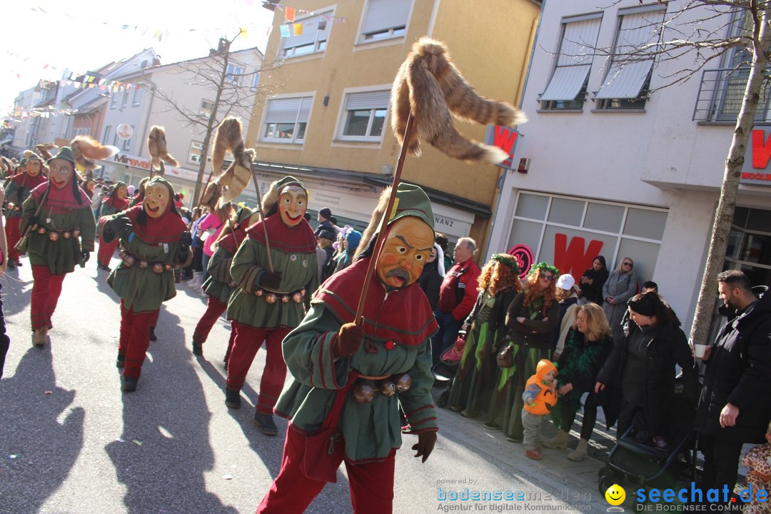 Fasnetsumzug: Tettnang am Bodensee, 13.02.2024
