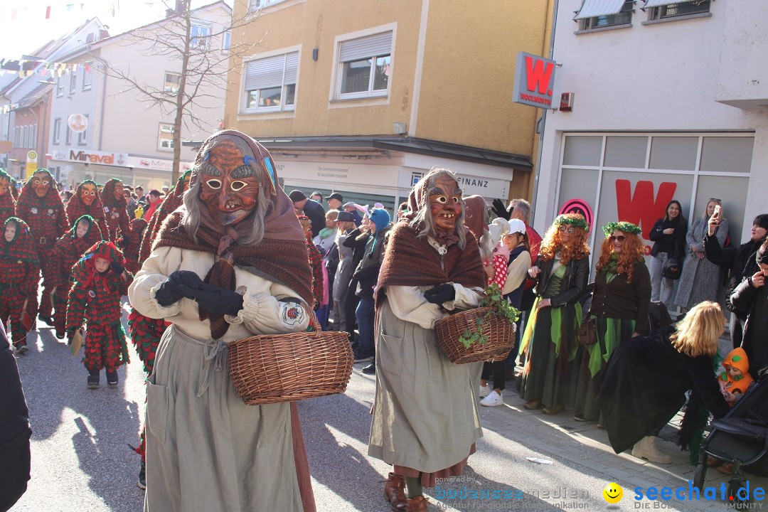 Fasnetsumzug: Tettnang am Bodensee, 13.02.2024
