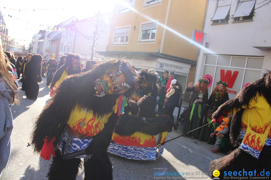 Fasnetsumzug: Tettnang am Bodensee, 13.02.2024