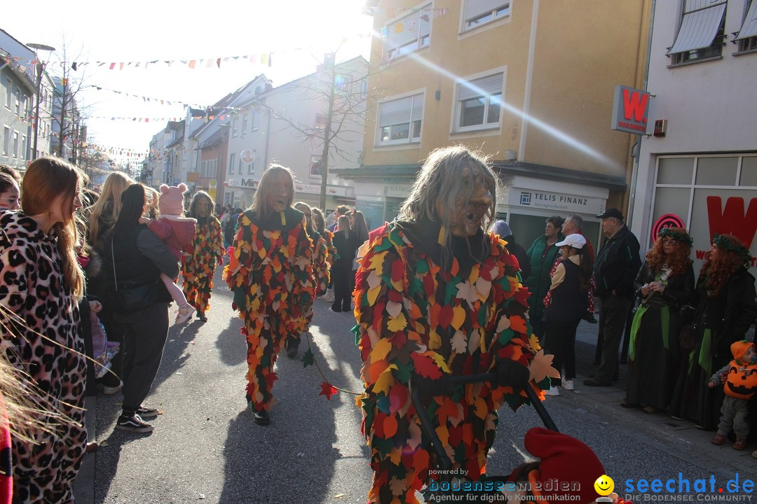 Fasnetsumzug: Tettnang am Bodensee, 13.02.2024