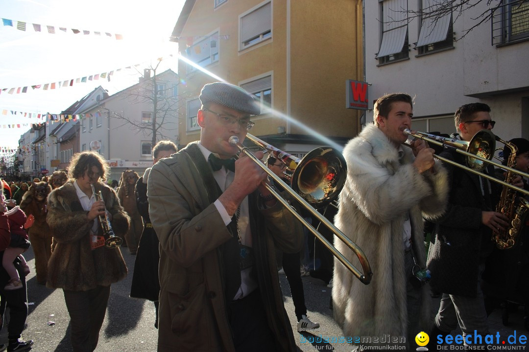 Fasnetsumzug: Tettnang am Bodensee, 13.02.2024