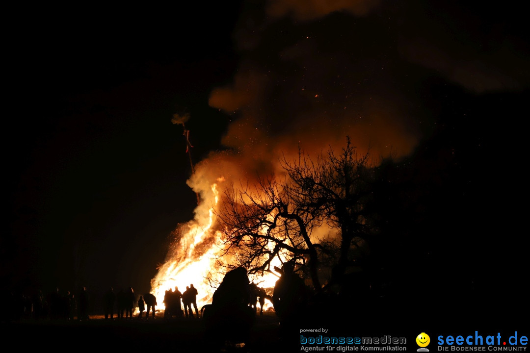 Funken - Funkenfeuer: Bermatingen, 17.02.2024
