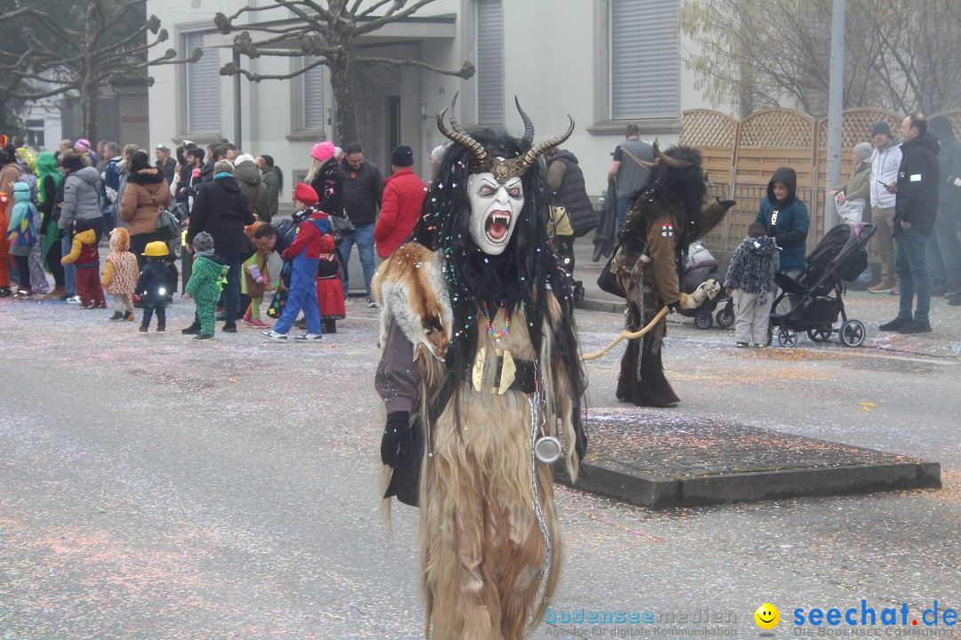 Fasnachtsumzug - Arbon am Bodensee, 18.02.2024