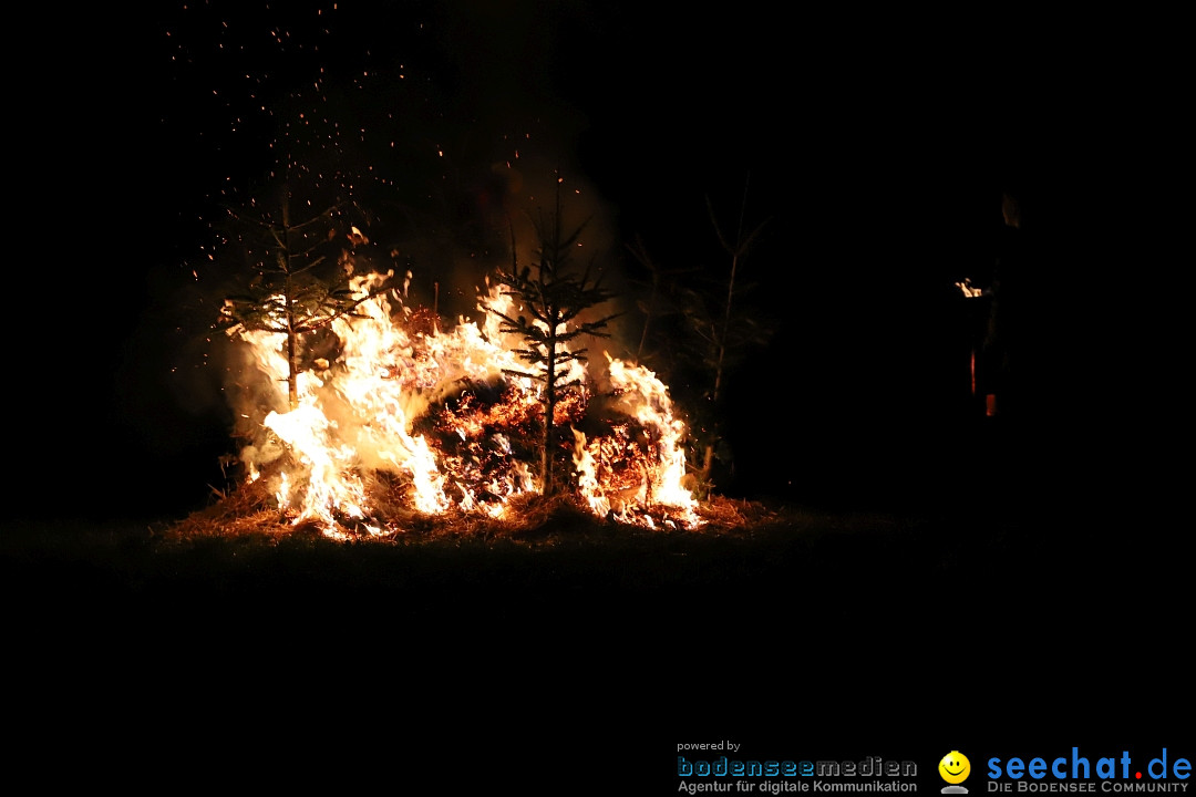Funken - Funkenfeuer: Markdorf, 18.02.2024