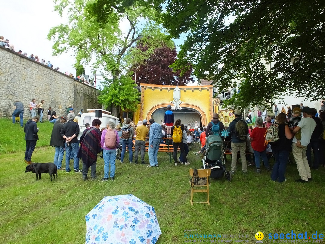 50 Jahre Flohmarkt: Riedlingen, 18.05.2024