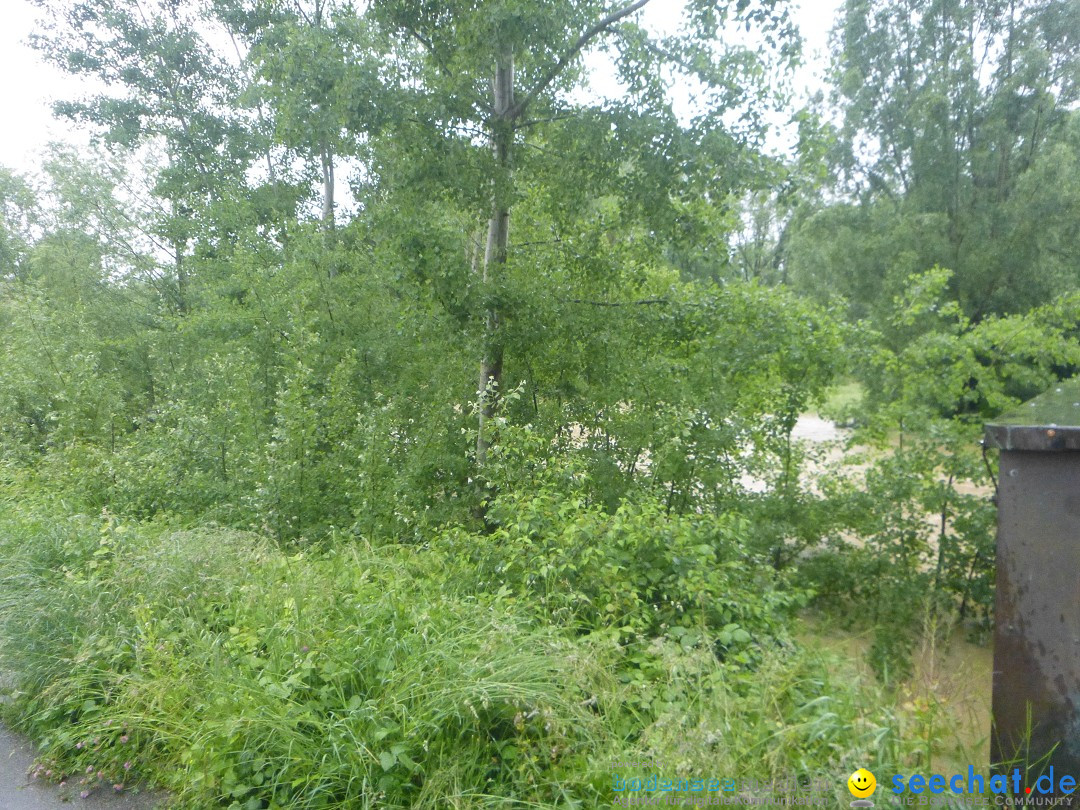 Hochwasser: Ravensburg, Weingarten, Baienfurt, 01.06.2024