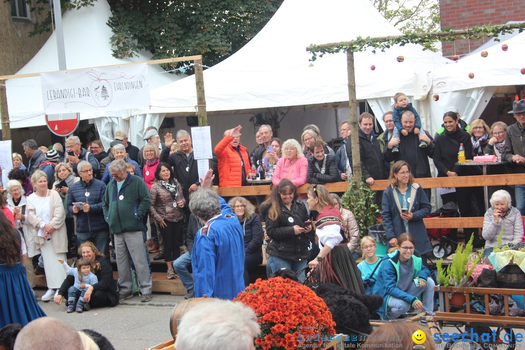 Winzerfest: Doettingen, 06.10.2024