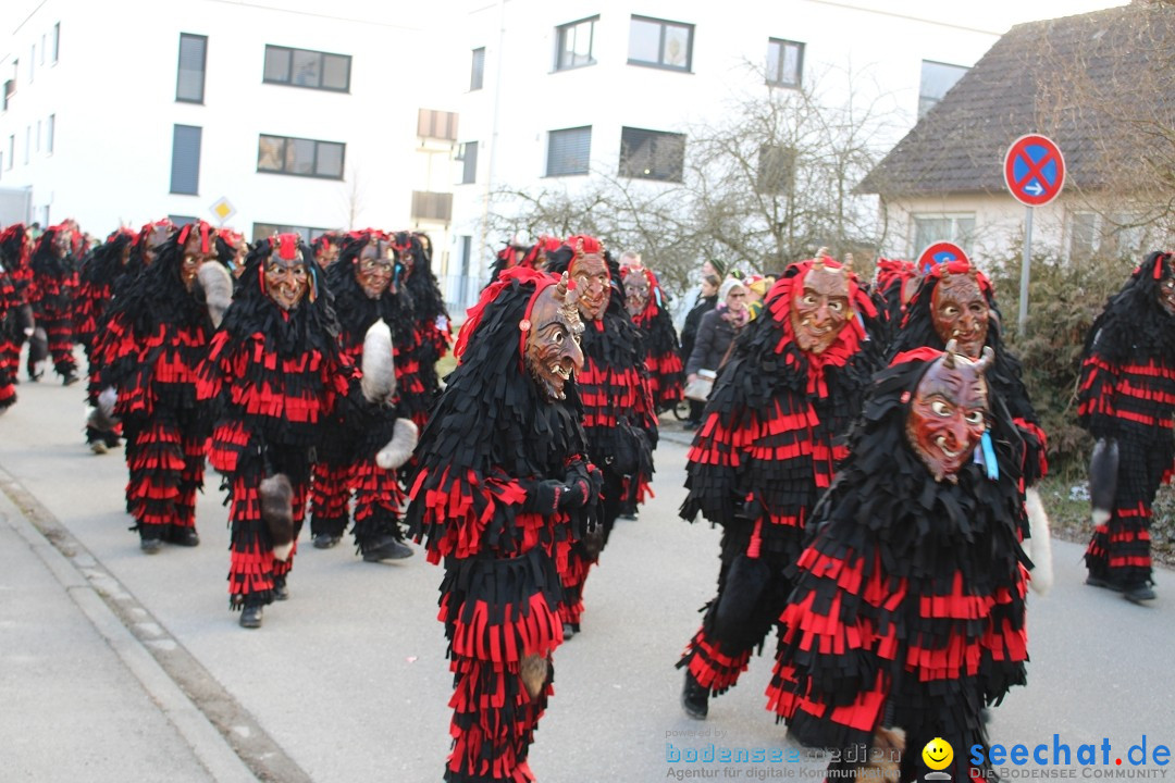 Fasnetsumzug und Party mit Fly: Kau am Bodensee, 15.02.2025