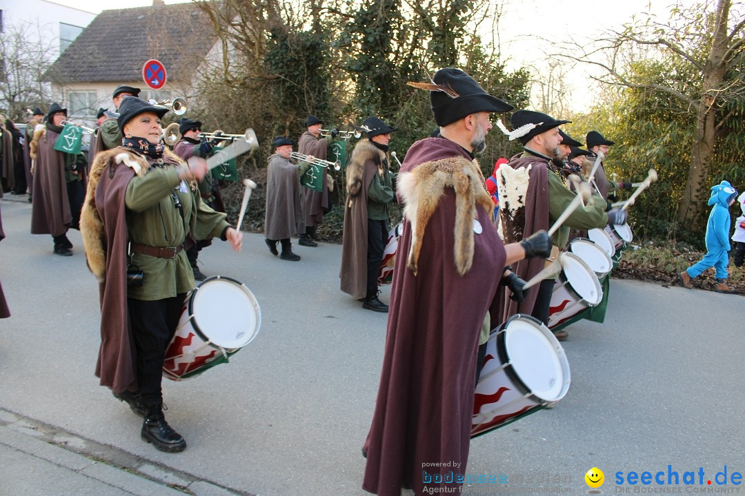 Fasnetsumzug und Party mit Fly: Kau am Bodensee, 15.02.2025