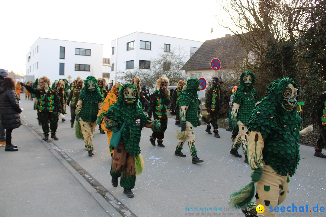 Fasnetsumzug und Party mit Fly: Kau am Bodensee, 15.02.2025