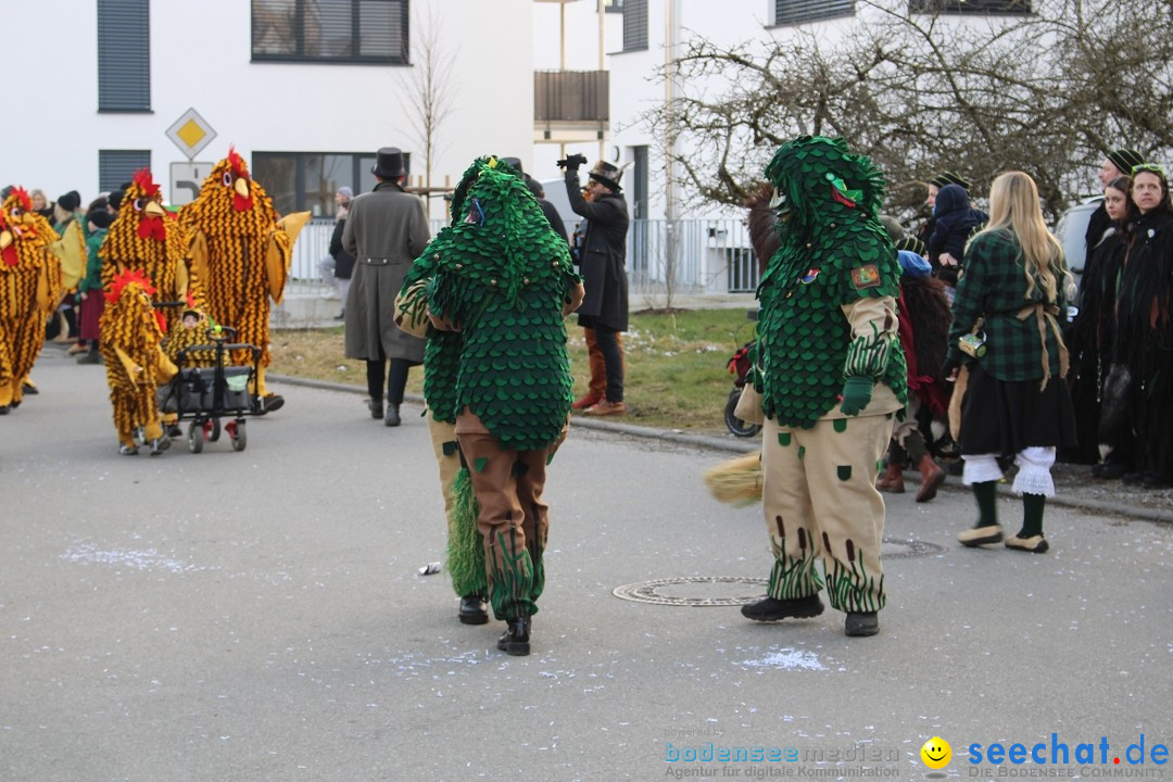 Fasnetsumzug und Party mit Fly: Kau am Bodensee, 15.02.2025