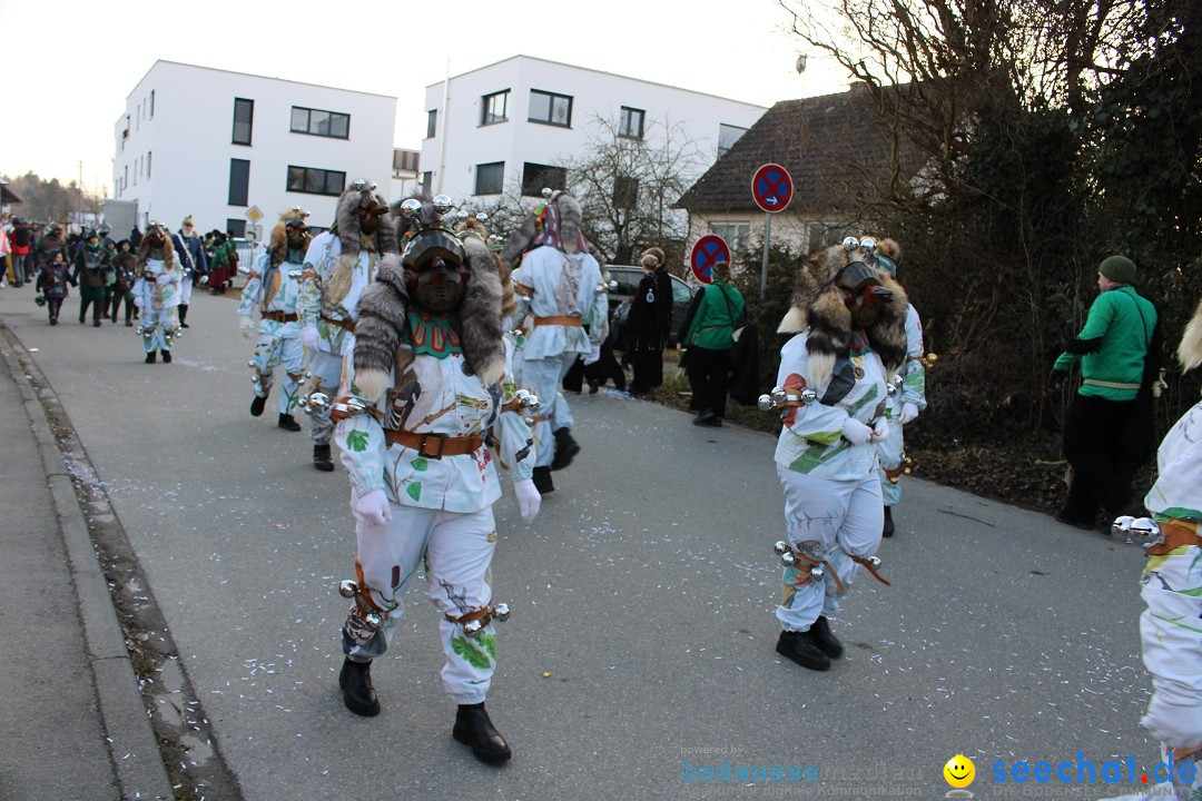 Fasnetsumzug und Party mit Fly: Kau am Bodensee, 15.02.2025