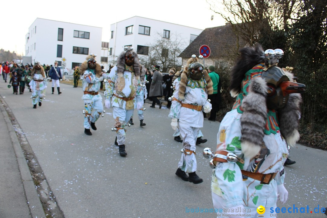 Fasnetsumzug und Party mit Fly: Kau am Bodensee, 15.02.2025