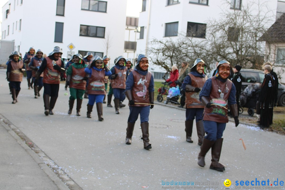 Fasnetsumzug und Party mit Fly: Kau am Bodensee, 15.02.2025