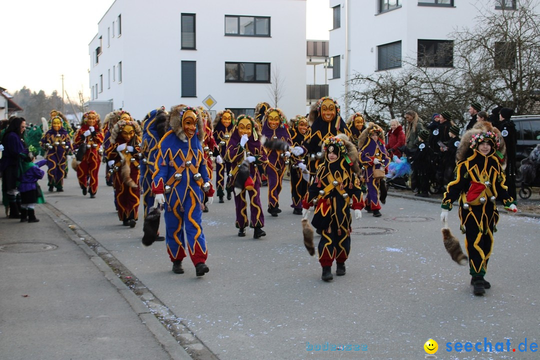 Fasnetsumzug und Party mit Fly: Kau am Bodensee, 15.02.2025