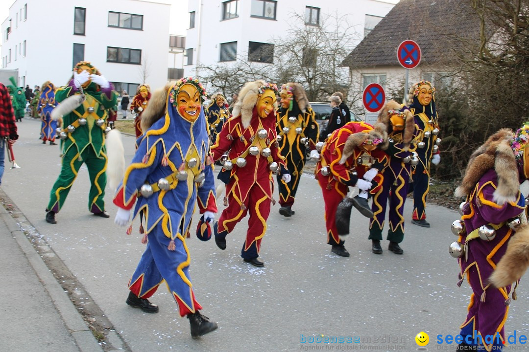 Fasnetsumzug und Party mit Fly: Kau am Bodensee, 15.02.2025