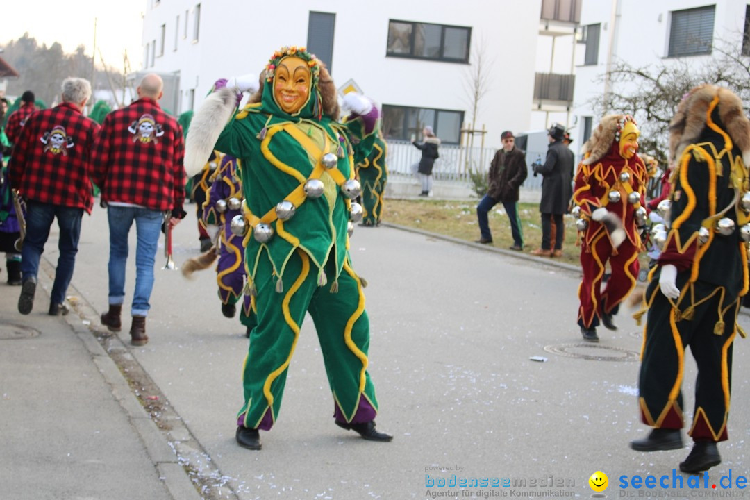Fasnetsumzug und Party mit Fly: Kau am Bodensee, 15.02.2025