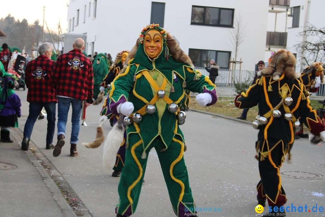 Fasnetsumzug und Party mit Fly: Kau am Bodensee, 15.02.2025