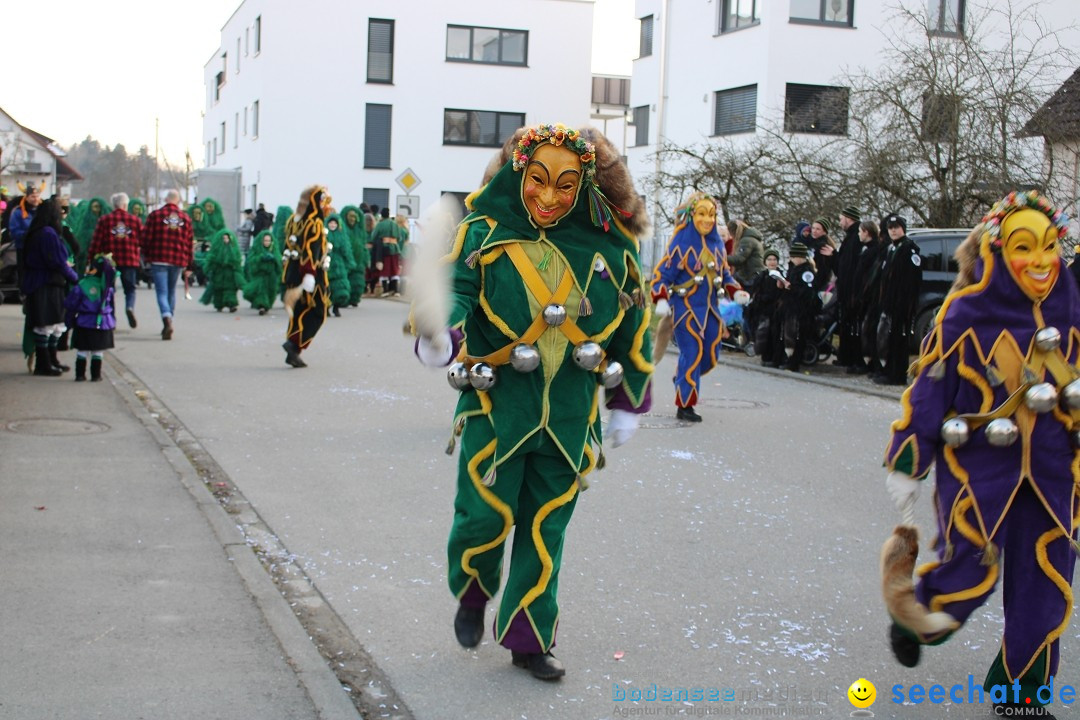 Fasnetsumzug und Party mit Fly: Kau am Bodensee, 15.02.2025