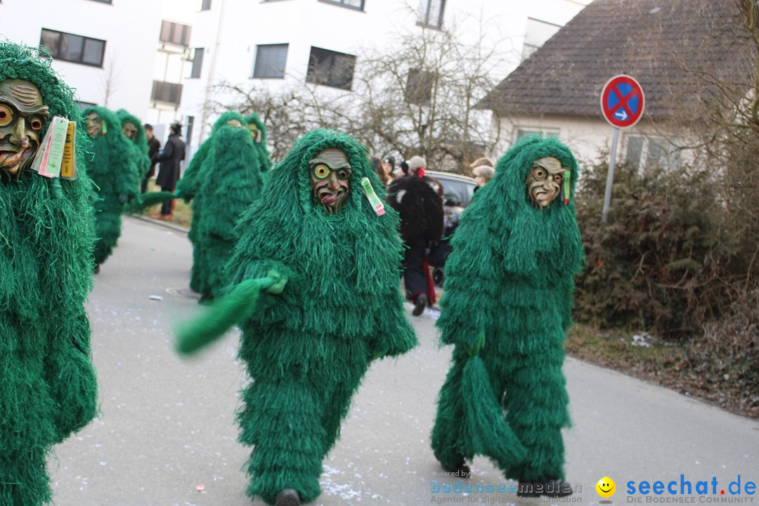 Fasnetsumzug und Party mit Fly: Kau am Bodensee, 15.02.2025