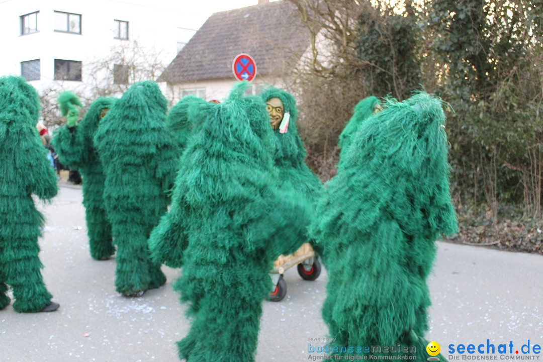 Fasnetsumzug und Party mit Fly: Kau am Bodensee, 15.02.2025
