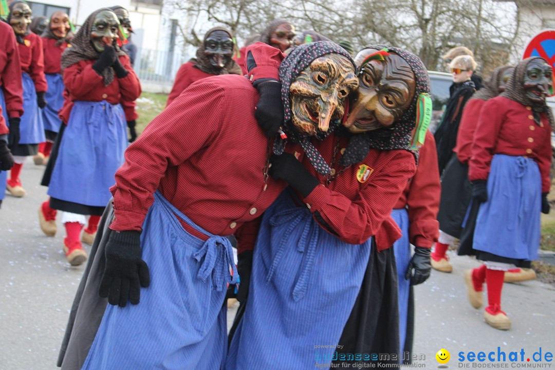 Fasnetsumzug und Party mit Fly: Kau am Bodensee, 15.02.2025