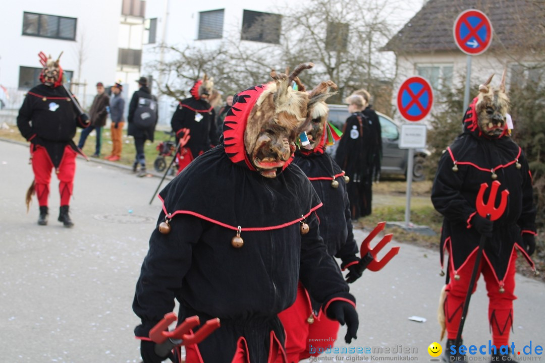Fasnetsumzug und Party mit Fly: Kau am Bodensee, 15.02.2025