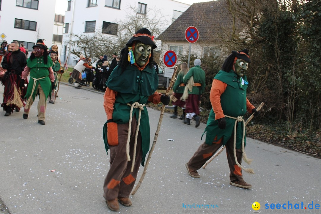 Fasnetsumzug und Party mit Fly: Kau am Bodensee, 15.02.2025
