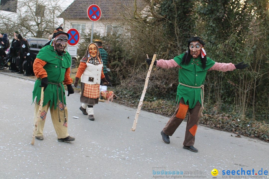Fasnetsumzug und Party mit Fly: Kau am Bodensee, 15.02.2025