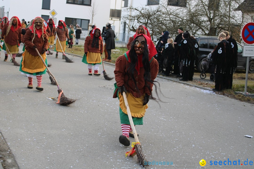Fasnetsumzug und Party mit Fly: Kau am Bodensee, 15.02.2025