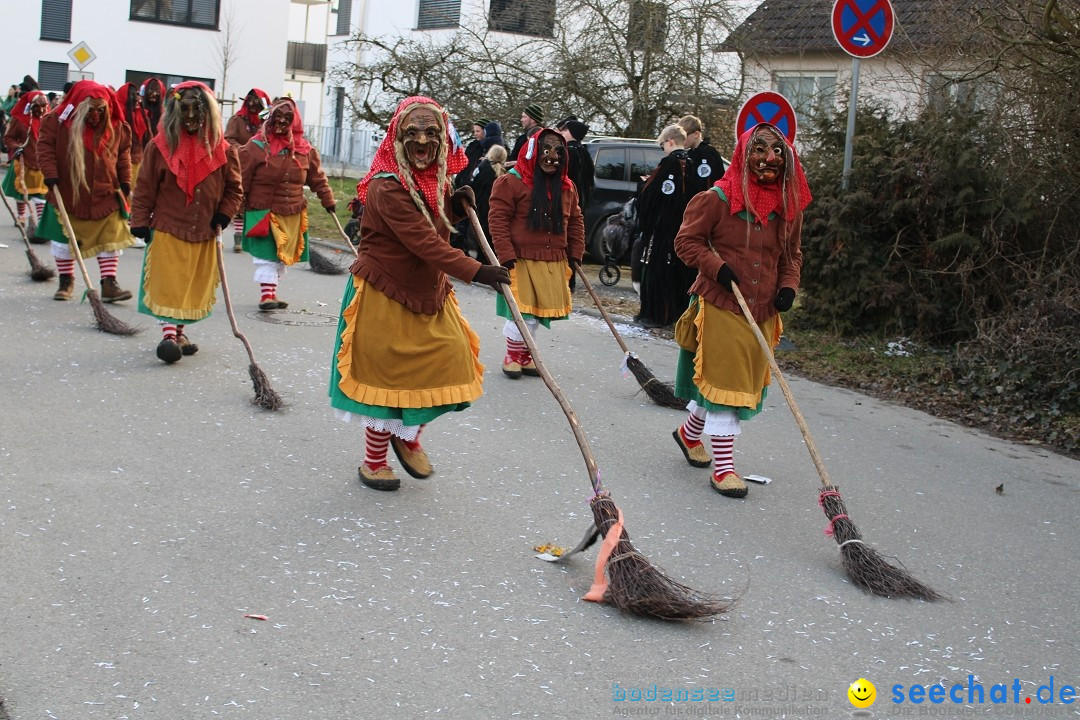 Fasnetsumzug und Party mit Fly: Kau am Bodensee, 15.02.2025