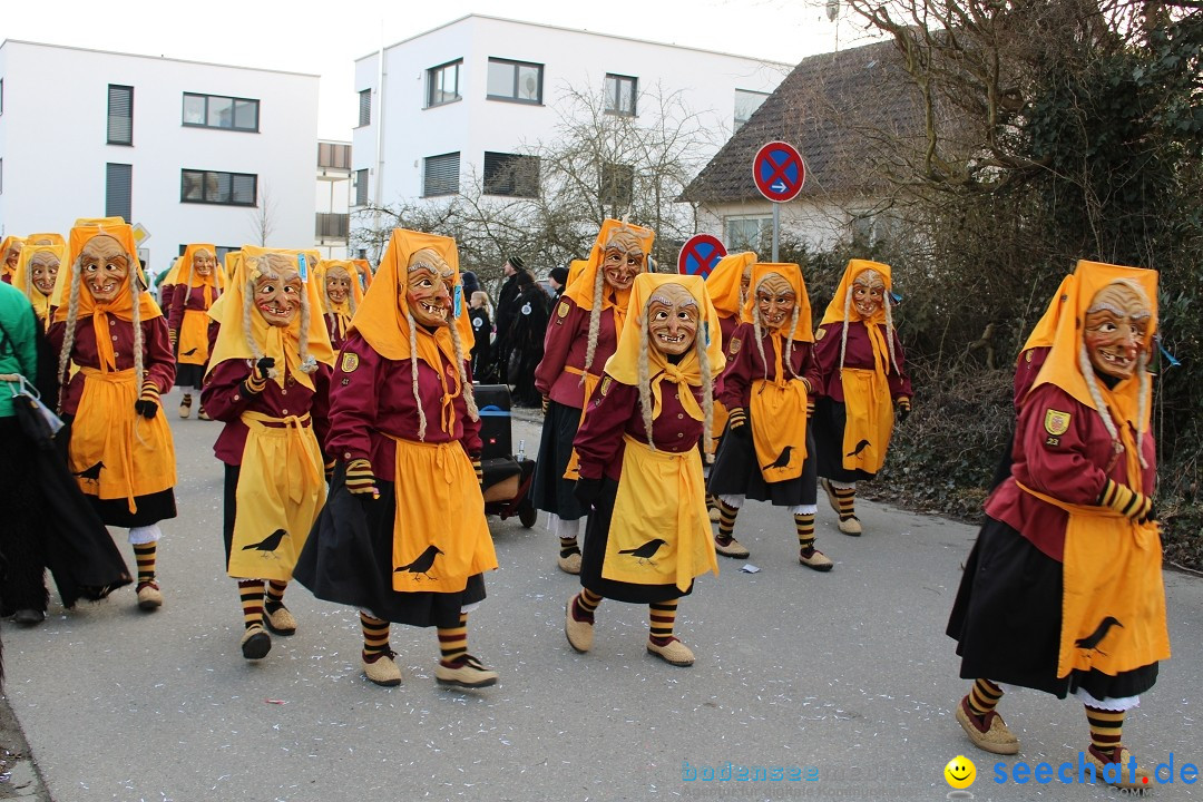 Fasnetsumzug und Party mit Fly: Kau am Bodensee, 15.02.2025