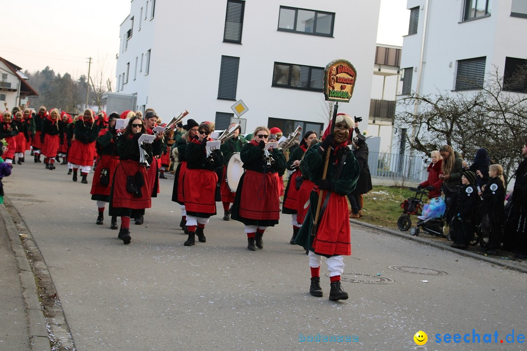 Fasnetsumzug und Party mit Fly: Kau am Bodensee, 15.02.2025