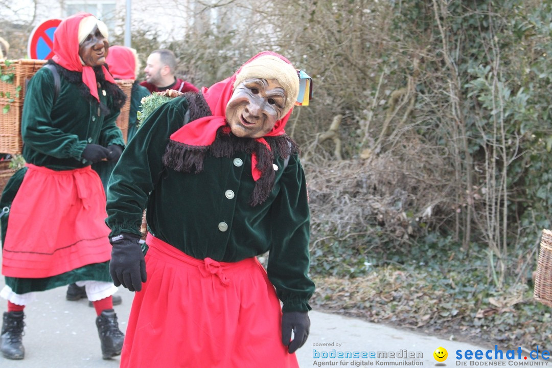 Fasnetsumzug und Party mit Fly: Kau am Bodensee, 15.02.2025