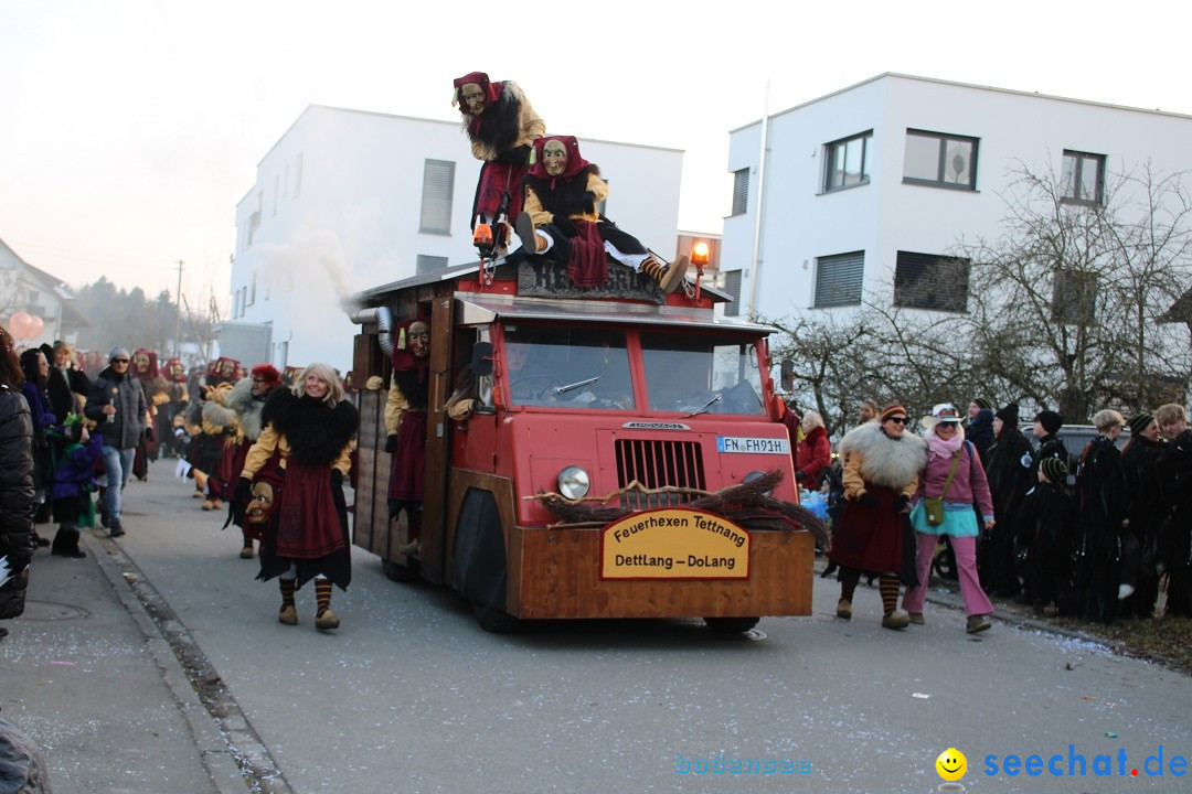 Fasnetsumzug und Party mit Fly: Kau am Bodensee, 15.02.2025