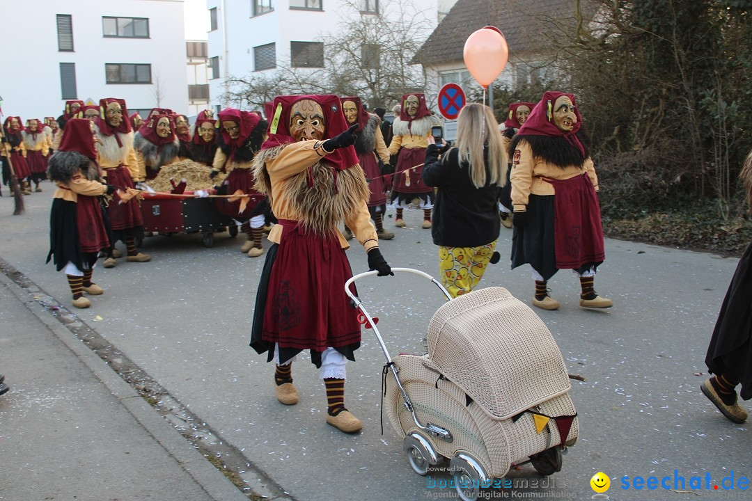 Fasnetsumzug und Party mit Fly: Kau am Bodensee, 15.02.2025