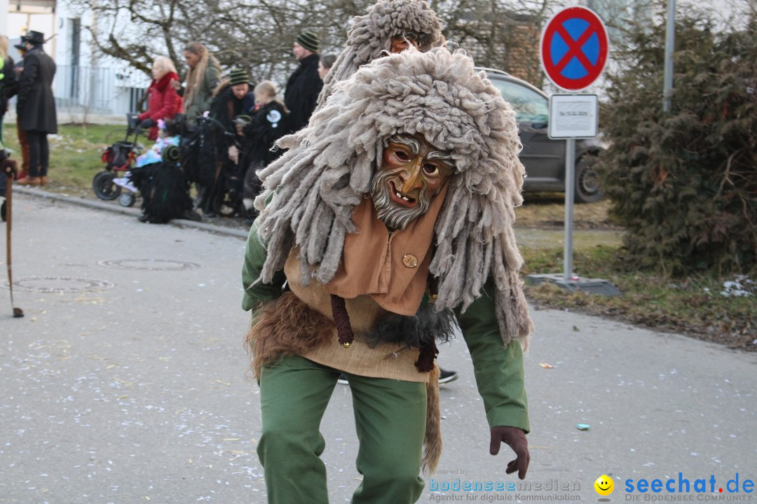 Fasnetsumzug und Party mit Fly: Kau am Bodensee, 15.02.2025