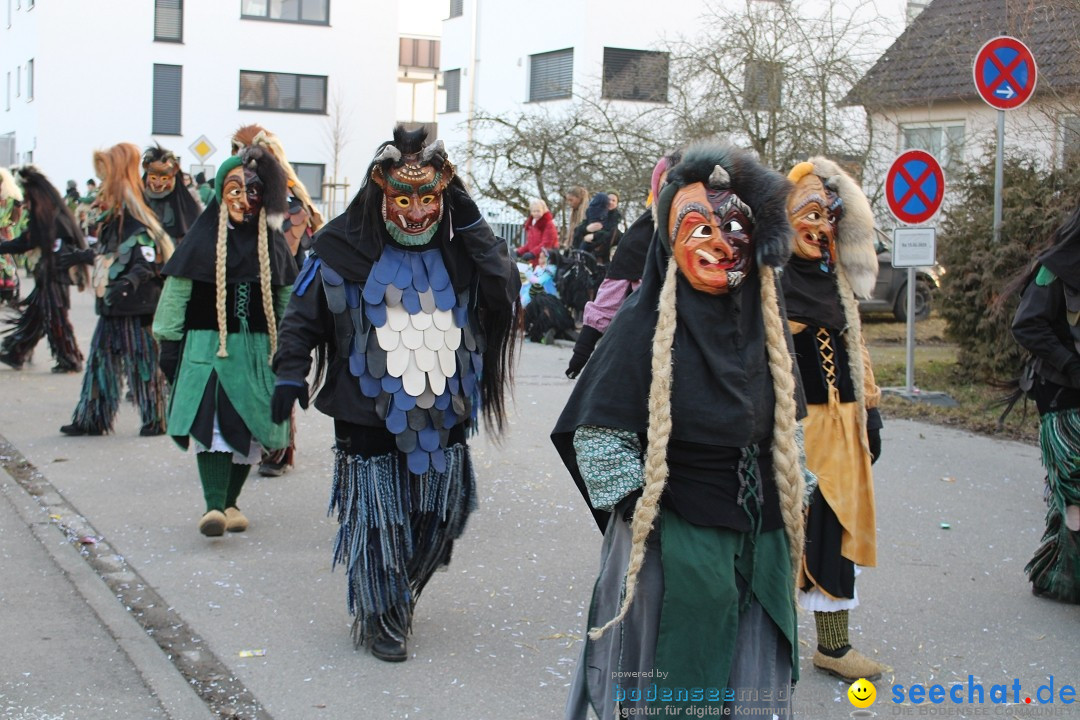 Fasnetsumzug und Party mit Fly: Kau am Bodensee, 15.02.2025