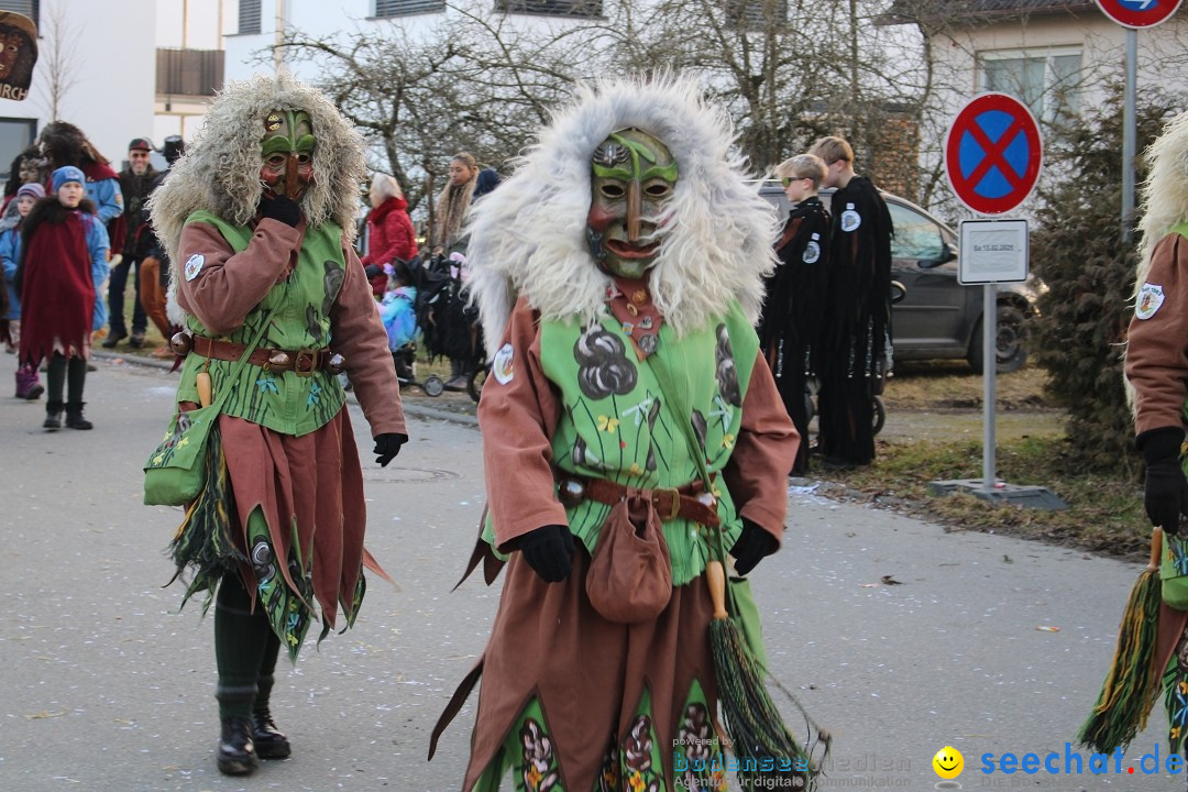 Fasnetsumzug und Party mit Fly: Kau am Bodensee, 15.02.2025