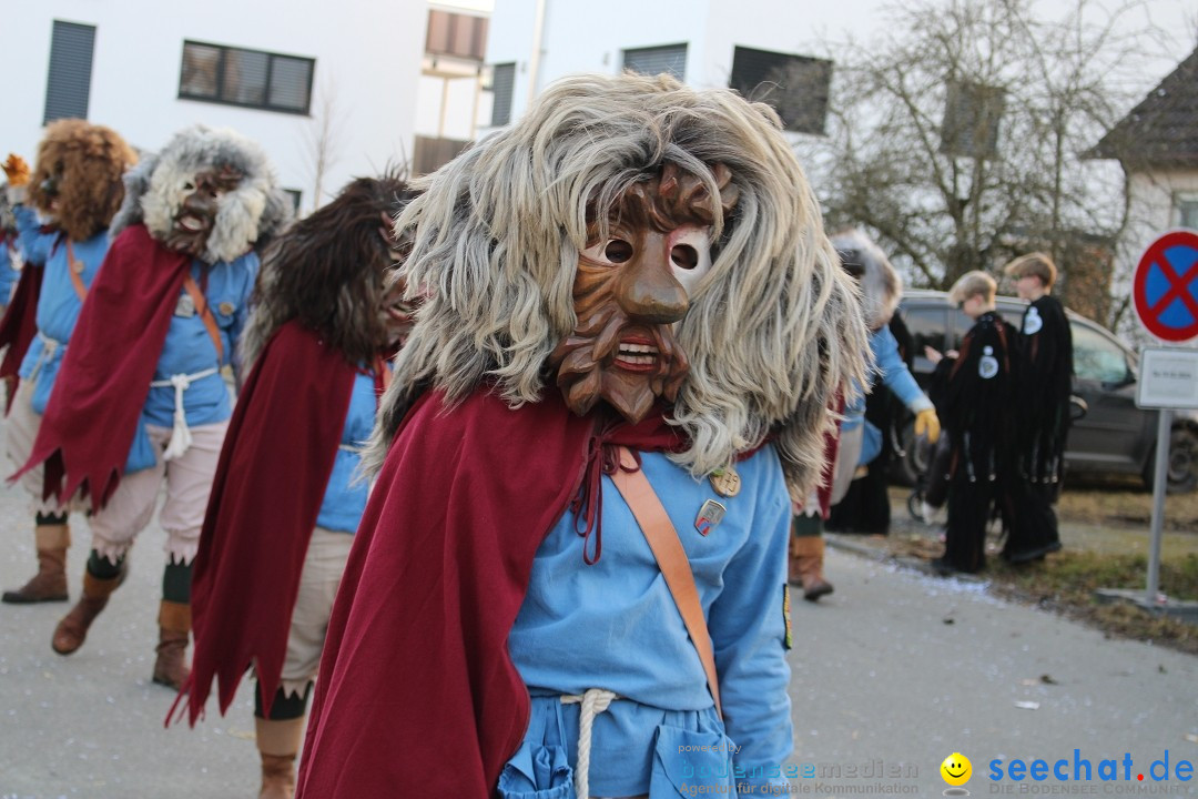 Fasnetsumzug und Party mit Fly: Kau am Bodensee, 15.02.2025
