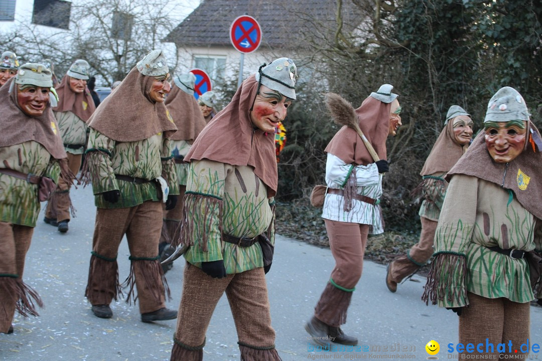 Fasnetsumzug und Party mit Fly: Kau am Bodensee, 15.02.2025