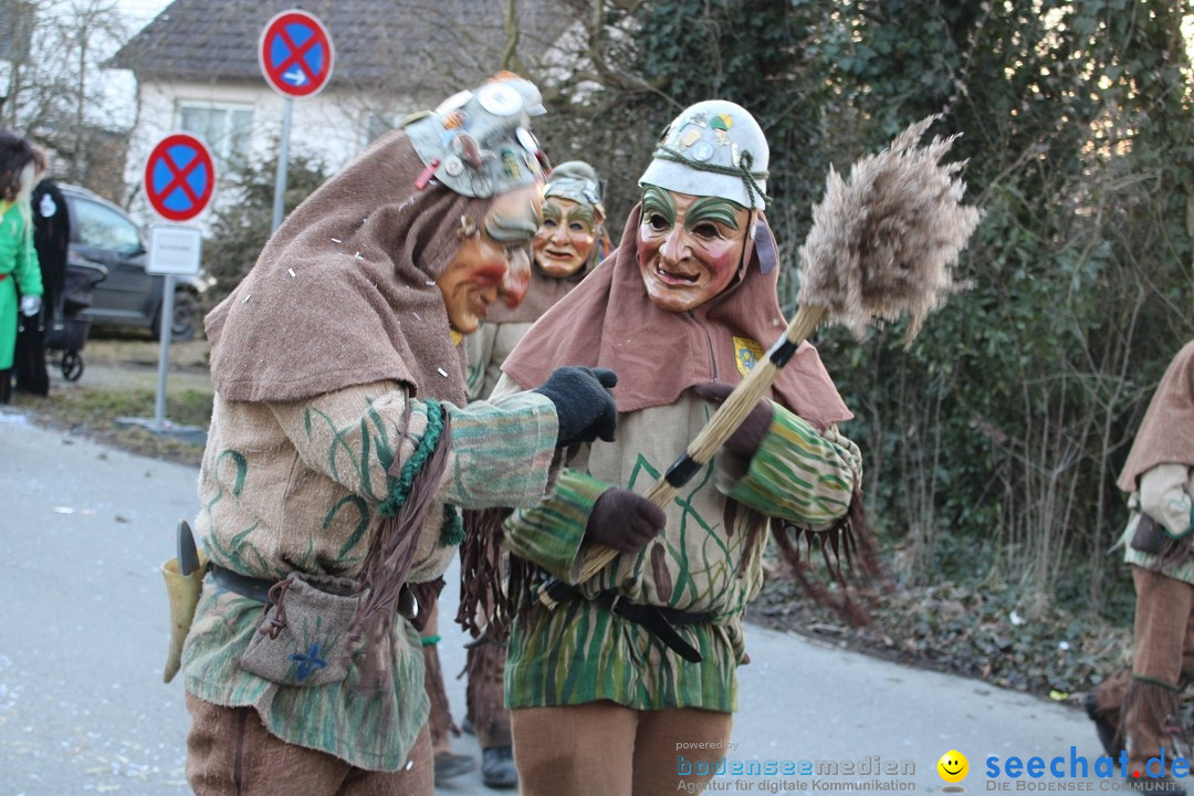 Fasnetsumzug und Party mit Fly: Kau am Bodensee, 15.02.2025
