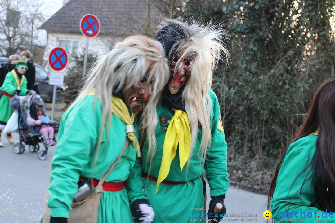 Fasnetsumzug und Party mit Fly: Kau am Bodensee, 15.02.2025
