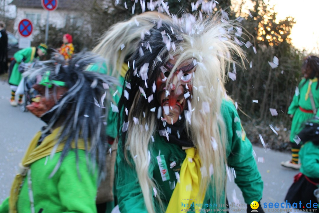 Fasnetsumzug und Party mit Fly: Kau am Bodensee, 15.02.2025
