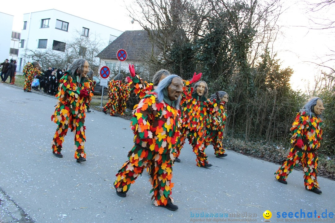 Fasnetsumzug und Party mit Fly: Kau am Bodensee, 15.02.2025