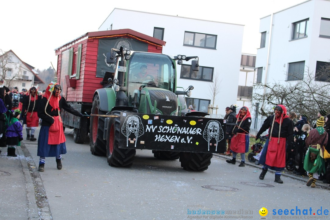 Fasnetsumzug und Party mit Fly: Kau am Bodensee, 15.02.2025