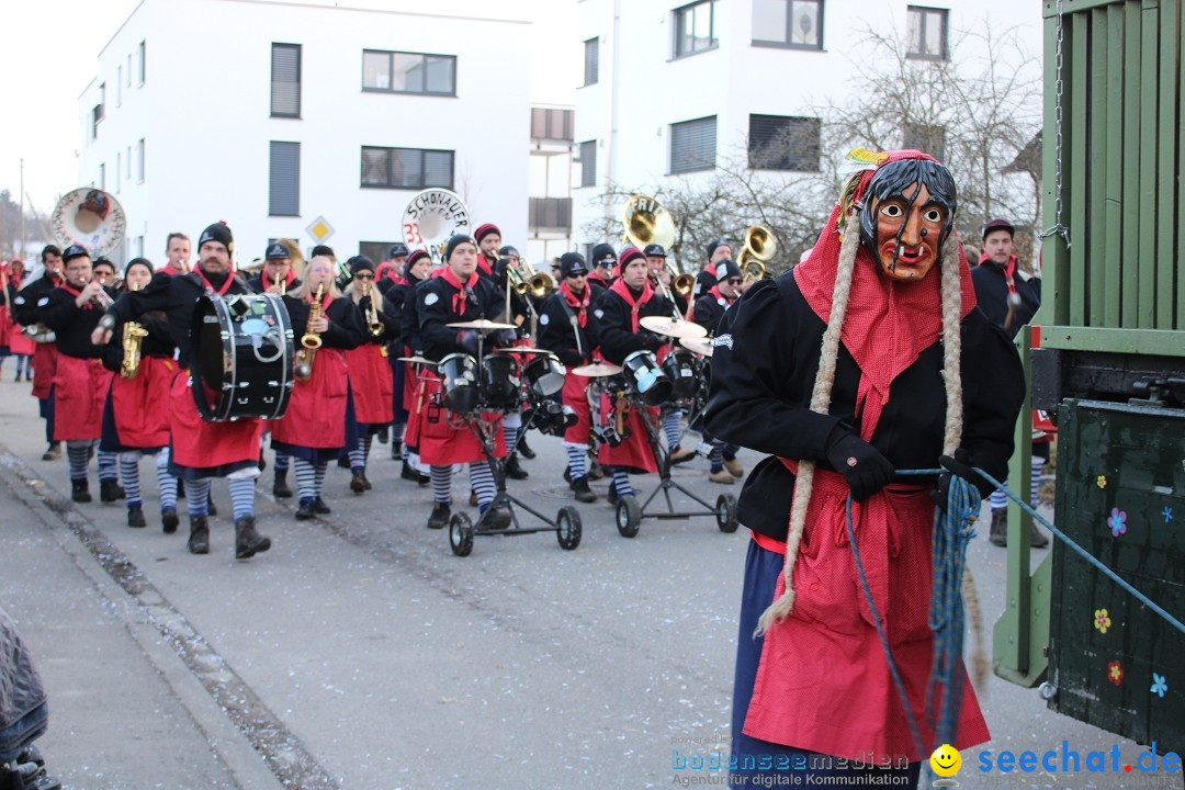 Fasnetsumzug und Party mit Fly: Kau am Bodensee, 15.02.2025