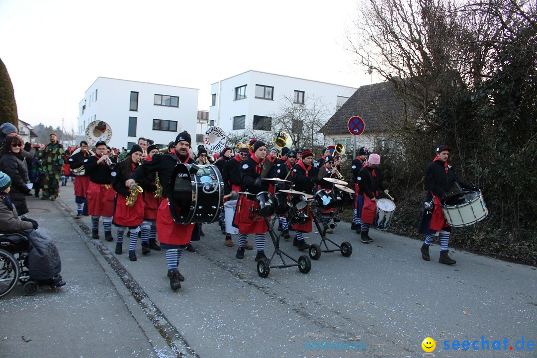 Fasnetsumzug und Party mit Fly: Kau am Bodensee, 15.02.2025
