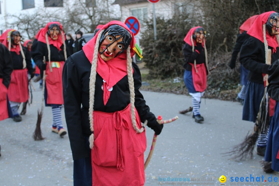 Fasnetsumzug und Party mit Fly: Kau am Bodensee, 15.02.2025